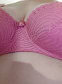 Amica