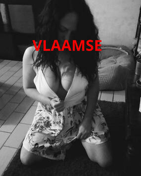 VLAAMSE DAME