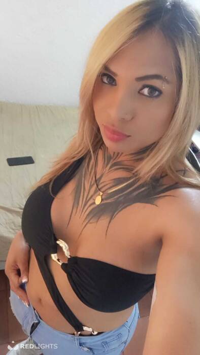 Ericka trans (Foto)