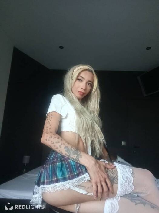 Brandy (Foto)