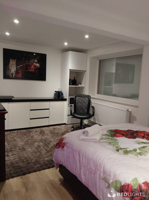 Kamer verhuur - room for rent - Regio Waregem (Foto)