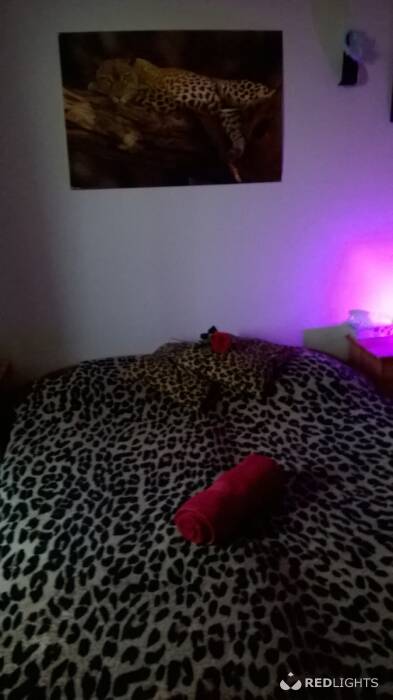Katje/Teigetje xxx (Foto)