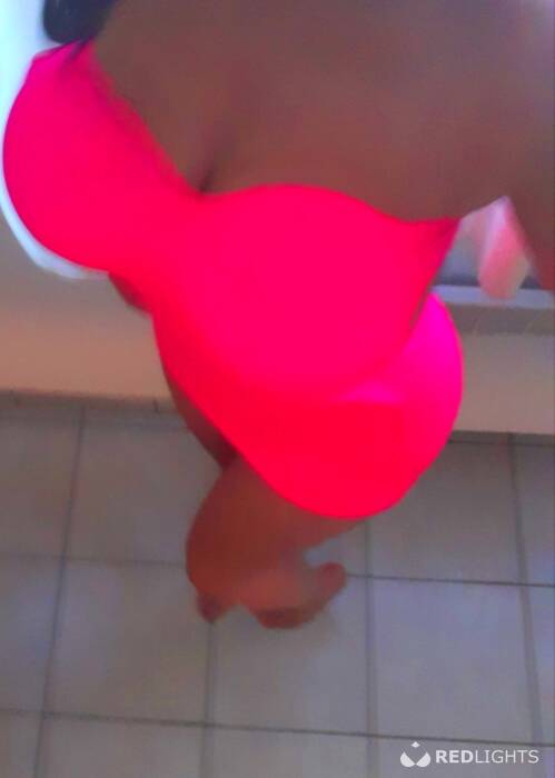 VLAAMSE YASMINA (Foto)
