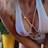 Anke