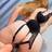 Liz Quente