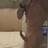 Wout