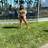 Vanessaa