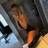 Allma Xxx