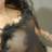 Jady chaude