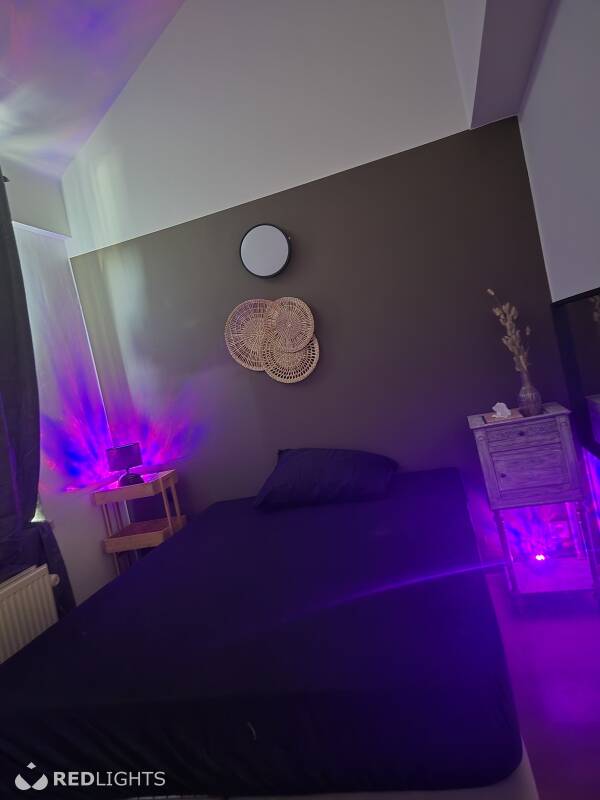 BookingNest Plus (Foto)
