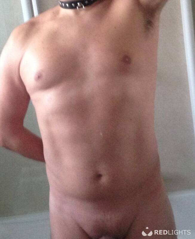 David (Foto)