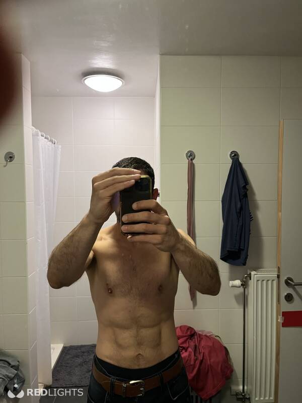 Sander (Foto)
