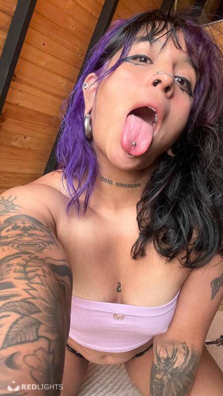 Lazo (Foto)