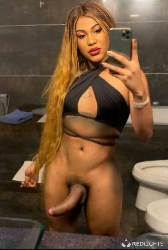 STELLA ts (Foto)