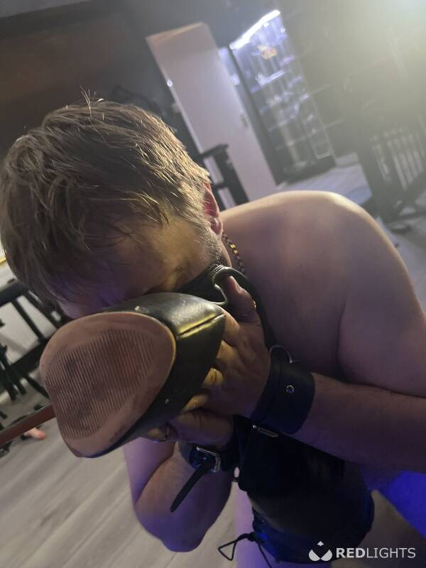Stelino (Foto)