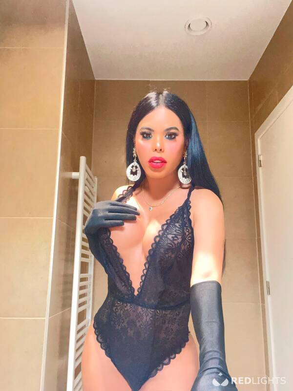 Tayra (Foto)