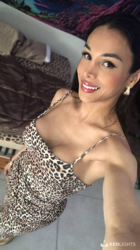 Gala (Foto)
