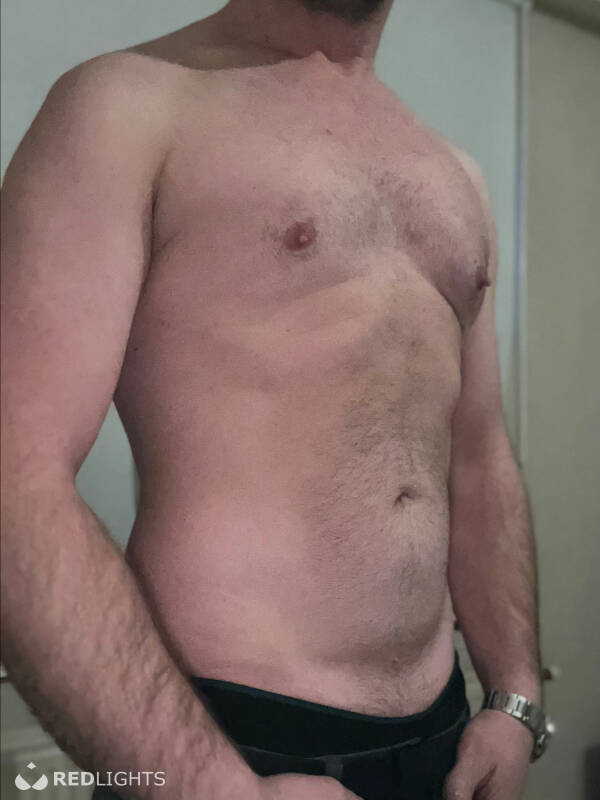 Bert (Foto)