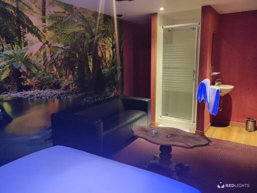 Studio Parnasse (Foto)